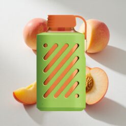 VOZOL GEAR 10000 Puffs Peach Mango Watermelon 30 Flavors Australia Vapes
