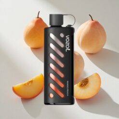 VOZOL Gear Shisha 25000 Puffs Mango Peach Dual Mesh Dual Modes Australia vapes