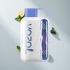 VOZOL STAR 40000 Puffs Disposable Vape Blueberry Mint with 1000mAh Battery & Type-C Charging Australia Vapes