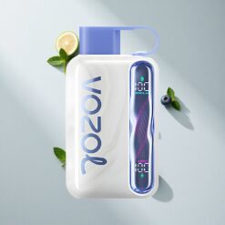VOZOL STAR 40000 Puffs Disposable Vape Blueberry Mint with 1000mAh Battery & Type-C Charging Australia Vapes