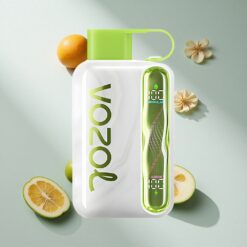 VOZOL STAR 40000 Puffs Disposable Vape Cool Mint 1000mAh Type-C Australia Vapes