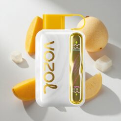 VOZOL STAR 40000 Puffs Disposable Vape Mango Ice 1000mAh Battery Type-C Charging Australia vapes