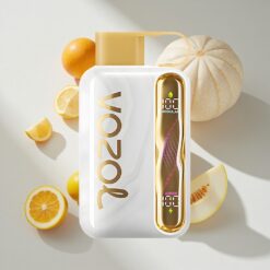 VOZOL STAR 40000 Puffs Melon Gum Disposable Vape with 1000mAh Battery & Type-C Charging – Australia Vapes