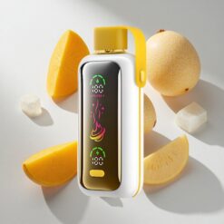 VOZOL Star 20000 Puffs Mango Ice Dual Mesh Australia vapes