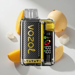 VOZOL Vista 20000 Puffs Mango Ice Rechargeable Disposable Vape with OLED Screen Australia vapes