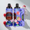 VapSolo VIKING 12000 Puffs Blueberry Raspberry Disposable Vape with Type-C Charging & LED Display Australia vapes