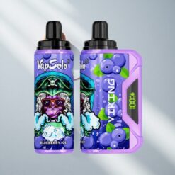 VapSolo VIKING 12000 Puffs Disposable Vape Blueberry with LED Display & Type-C Charging Australia vapes