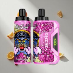 VapSolo VIKING 12000 Puffs Summer Dream Disposable Vape with Type-C Charging Australia vapes