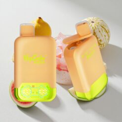Vapsolo Twins 20000 Puffs Lemon Lime & Watermelon Ice Disposable Vape with Type-C Charging Australia vapes