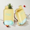 Vapsolo Twins 20000 Puffs Pineapple Coconut & Strawberry Banana Disposable Vape 40ml E-Liquid Australia vapes