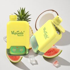 Vapsolo Twins 20000 Puffs Pineapple Coconut & Watermelon Ice Disposable Vape with Type-C Charging Australia vapes