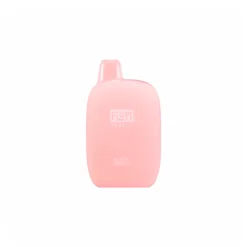 Peach Orange FLUM Pebble Disposable Vape – 6000 Puffs